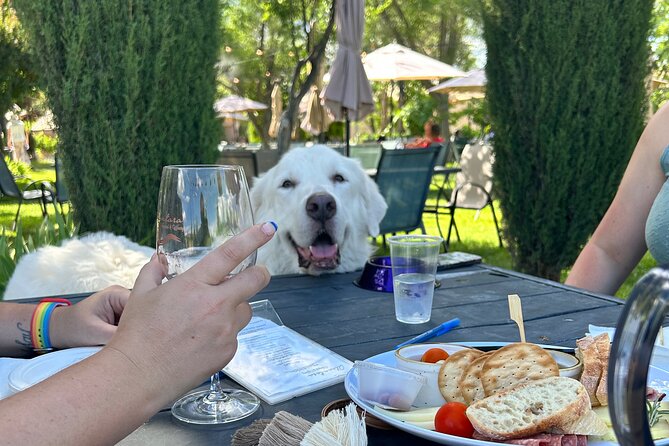 Alcantara Estate Vineyards Tasting Experience - Price and value: what $375 buys you here
