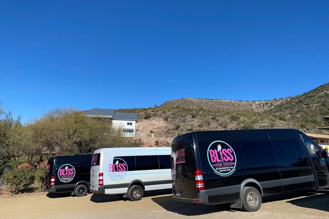 Bliss - Sedona’s Most Luxurious Wine Tour - Lunch Included! - The ride, timing, and “how the day really feels”