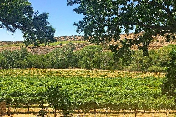Bliss - Sedona’s Most Luxurious Wine Tour - Lunch Included! - Who this Bliss tour is best for