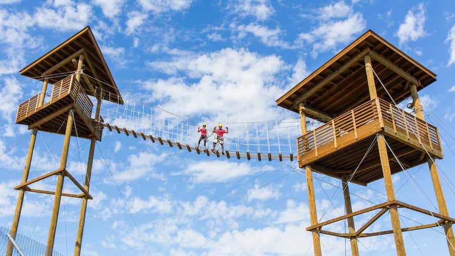 Camp Verde: Predator Zip Lines Guided Tour - The 5-line course: four for spotting, one for speed