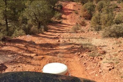 Diamondback Gulch 4x4 Open-Air Jeep Tour in Sedona - Wildlife, plants, geology, and Native American history on the move