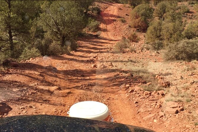 Diamondback Gulch 4x4 Open-Air Jeep Tour in Sedona - Wildlife, plants, geology, and Native American history on the move