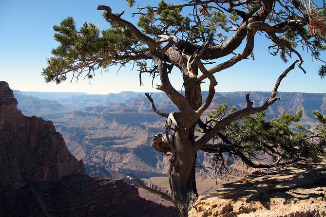 Grand Canyon Hike with Sedona and Flagstaff Hotel Pickup - Price and Fees: What $361.41 Really Buys