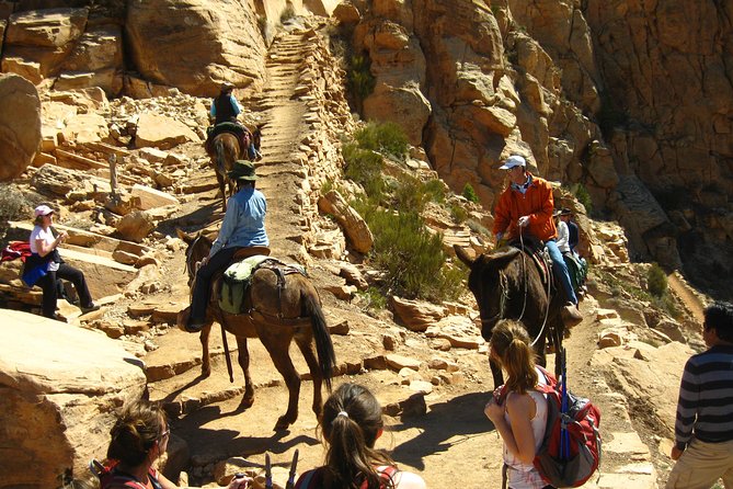 Grand Canyon Hike with Sedona and Flagstaff Hotel Pickup - Who This Tour Fits Best (and Who Might Skip It)