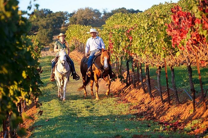 Guided Horseback Tour only 30 mins from Sedona. - Horses and Guides: Calm, Funny, and (Usually) Extra Patient
