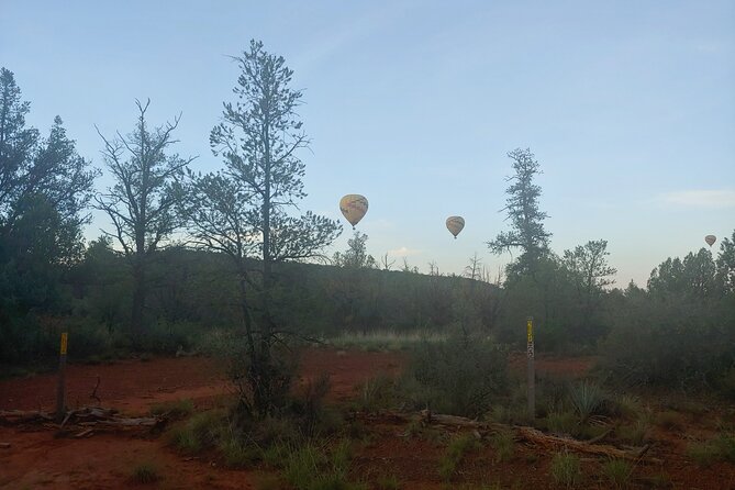 Half-Day Private Scenic Tour of Sedona - Price and value: is $205 per person worth it?