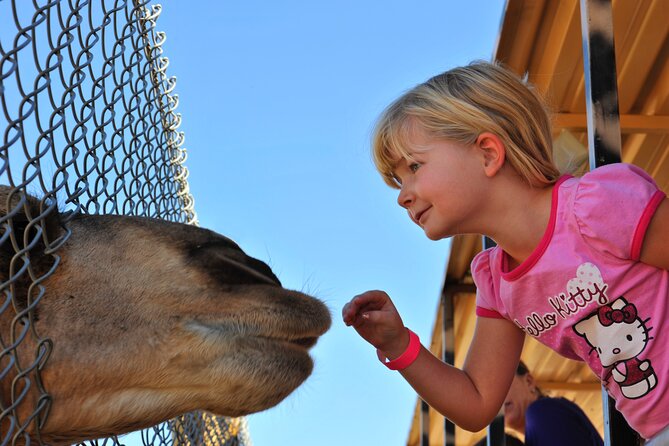Out of Africa Wildlife Park Admission Ticket - Family-Friendly by Design: What Kids Usually Love Most