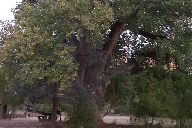 Private 3 or 4-Hour Sedona Vortex Energy Balancing Journey - Timing, weather reality, and how to dress for it