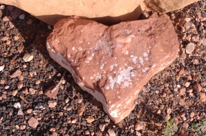 Private 4-Hour Sedona Medicine Wheel and Vortex Journey - What’s Included: Birth Animal Totems, Toltec Wisdom, and the Process
