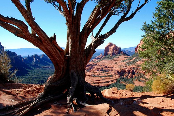 PRIVATE Sedona Jeep Tour 4X4 Climb - Colorado Plateau - Mogollon Rim Stop: 4x4-Only Terrain, Red Rock Formations, and Old Bear Wallow