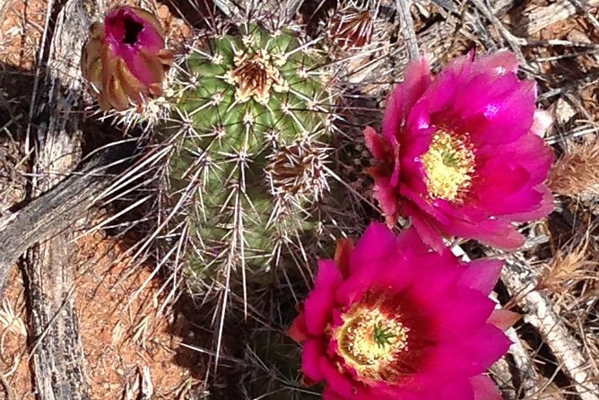 PRIVATE Sedona Scenic Full-Day - Its all about you!! - Jerome’s Ghost-Town Feel Plus Mining History