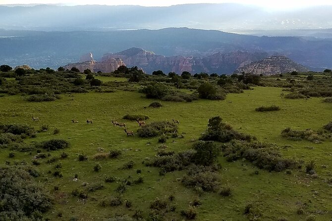 Secret Wilderness (45+ Mile) - Sedona Helicopter Tour - Entering Sedona by helicopter: why this 45-mile ride feels worth it