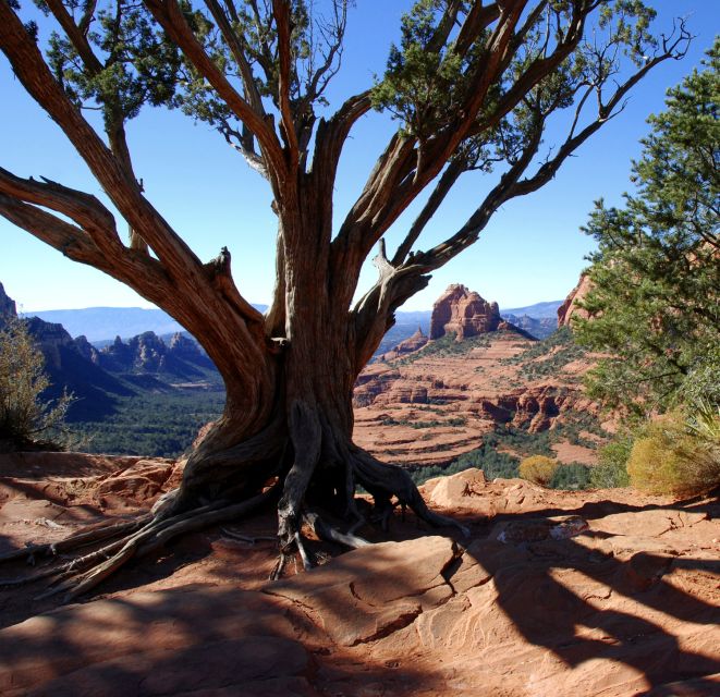 Sedona: PRIVATE 2-Hour Colorado Plateau Scenic Jeep Tour - Should you book Sedona: Private 2-Hour Colorado Plateau Scenic Jeep Tour?
