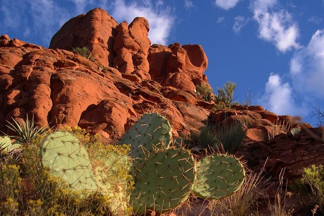 Sedona Red Rocks Outback Tour: Scenic with mild off-roading - A Mild Outback Jeep Ride Through Western Canyons
