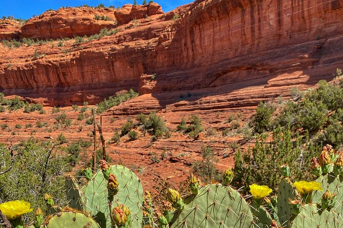Sedona Sacred Canyons Loop Hike With a Private Guide - Price check: is $225 a fair value for what you get?