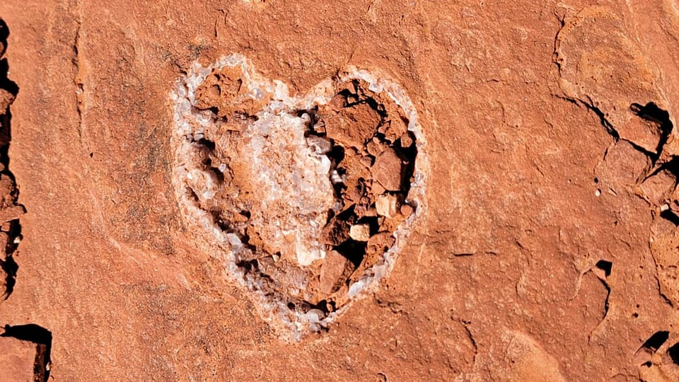 Sedona: The Scientific and Spiritual Vortex Tour - Sedona Vortex 101: what this tour actually teaches