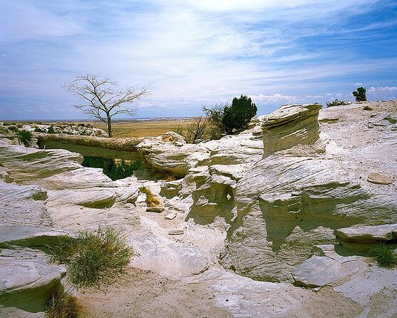 Sedona to Petrified Forest/Painted Desert Adventure PRIVATE TOUR! - Key points before you go