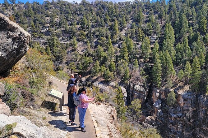Sedona to Petrified Forest/Painted Desert Adventure PRIVATE TOUR! - Crystal Forest Trail: petrified wood in a tighter window