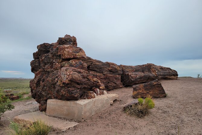 Sedona to Petrified Forest/Painted Desert Adventure PRIVATE TOUR! - Agate Bridge: the quick stop that teaches you how to look