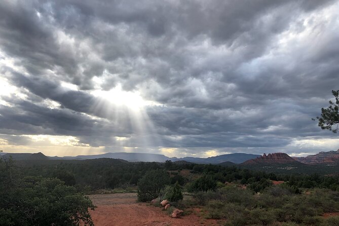 Sunrise Wildlife Safari Tour by Jeep from Sedona - Wildlife spotting: what animals you might see and how to look