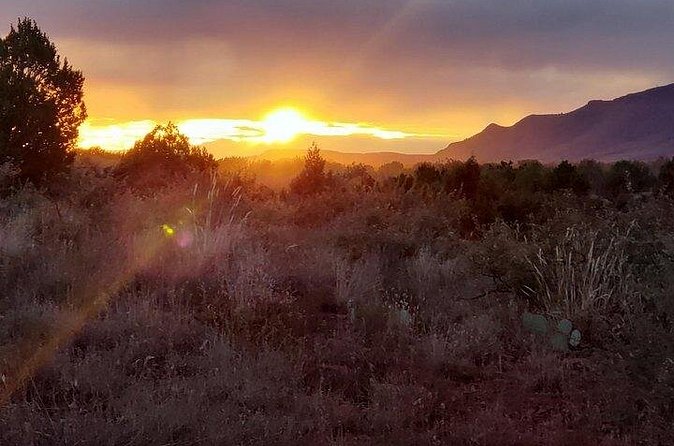 Sunrise Wildlife Safari Tour by Jeep from Sedona - Three environments, one coherent story near Sedona