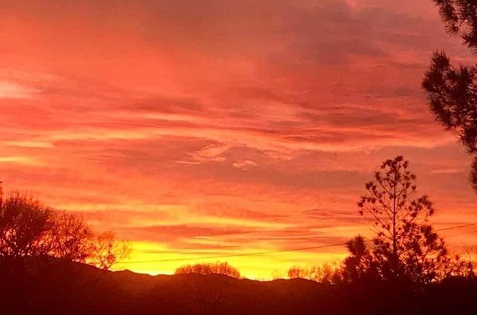 Sunrise Wildlife Safari Tour by Jeep from Sedona - Price and value: is $124.97 a good deal?