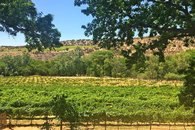 Visit 4 Wineries in Limo Party Bus-Includes Charcuterie Lunch! - Pickup plan: Sedona and Oak Creek coverage (and the pickup window)