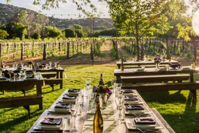Vortex to Vineyards by ABC wildlife host Rachel Reenstra - Start at DA Ranch: the VIP spring-property opener