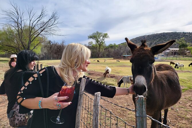 Voted Best in Sedona- Excellent Value Private Wine Tour! - A private Verde Valley tour beats the “rush-and-guess” plan