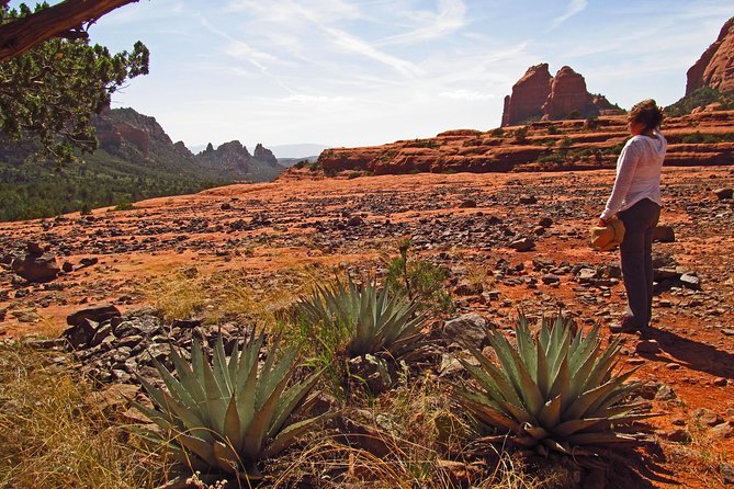 Whole-Day Sedona Vortex Experience - Who this vortex tour fits best (and who should rethink)